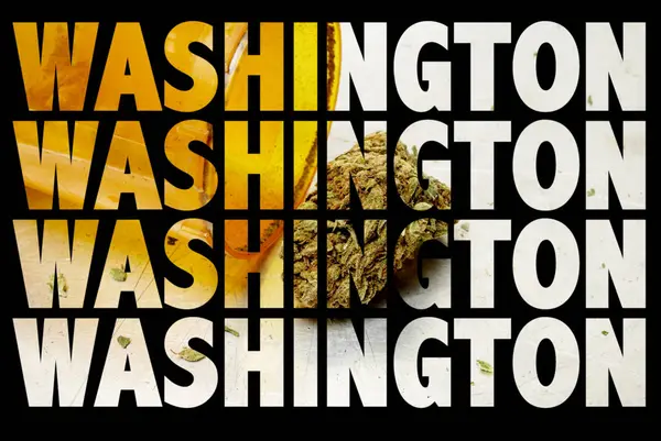 Washington Inscripties Met Medische Marihuana Binnen — Stockfoto