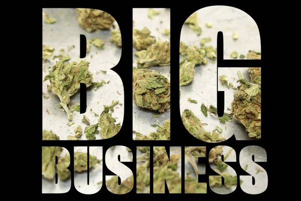 Big Business Inscription Avec Marijuana Intérieur Sur Fond Noir — Photo