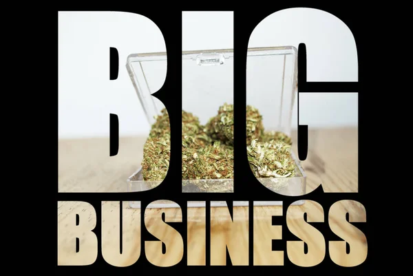 Big Business Inscription Avec Marijuana Intérieur Sur Fond Noir — Photo