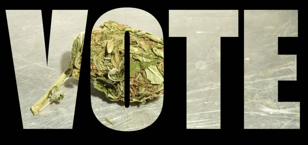 Hlasovací Nápis Marihuanou Uvnitř Černém Pozadí Koncept Legalizované — Stock fotografie