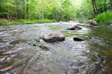 Kayalık alt ile hızlı nehir yakından görünümü