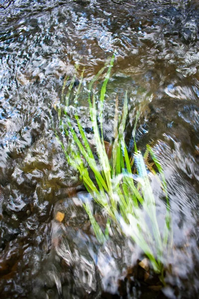 Närbild Snabb Flod Med Stenig Botten — Stockfoto