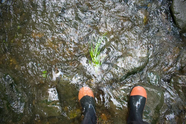 Rubber Boots in Water, Lifestyle Hiking Outdoors