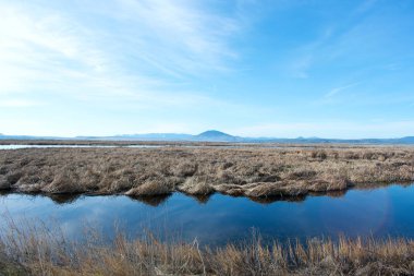 Vadi üzerinde sakin nehir güzel mavi su