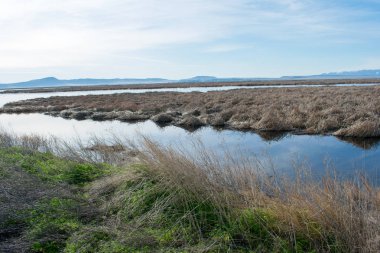 Vadi üzerinde sakin nehir güzel mavi su