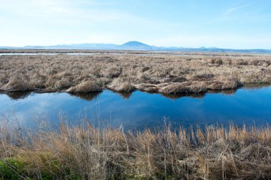 Vadi üzerinde sakin nehir güzel mavi su