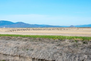 Kayalık dağlar areal, doğal arka plan