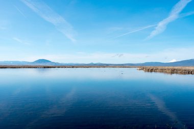 Vadi üzerinde sakin nehir güzel mavi su