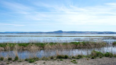 Vadi üzerinde sakin nehir güzel mavi su
