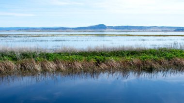 Vadi üzerinde sakin nehir güzel mavi su
