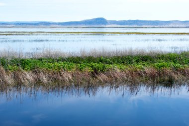 Vadi üzerinde sakin nehir güzel mavi su