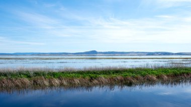 Vadi üzerinde sakin nehir güzel mavi su