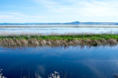 Vadi üzerinde sakin nehir güzel mavi su