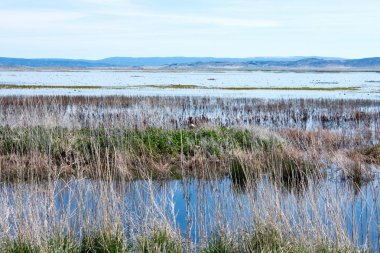 Vadi üzerinde sakin nehir güzel mavi su