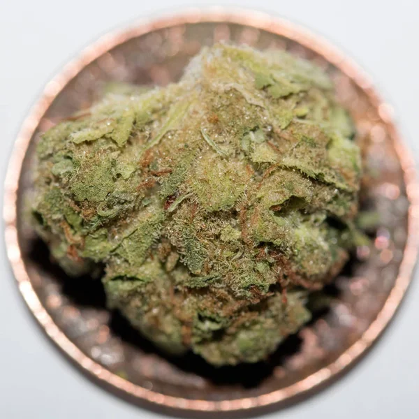 Marijuana Money Cannabis Business — Stock Photo, Image