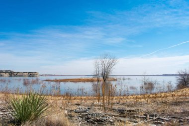 Mavi bulutlu gökyüzü altında güzel sakin göl kıyısı