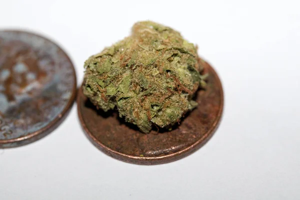 Μαριχουάνα Και Χρήματα Επιχείρηση Κάνναβης — Φωτογραφία Αρχείου