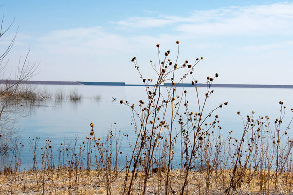 Beautiful calm lake shore under blue cloudy sky