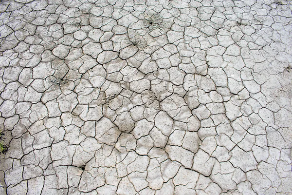 乾燥した夏の暑さ 細部および質感のひび割れた乾燥した土 — ストック写真