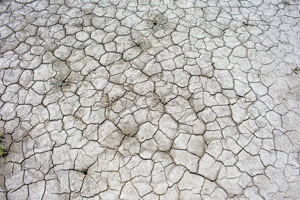 Gekraakte Droge Aarde Droge Zomer Warmte Detail Textuur — Stockfoto