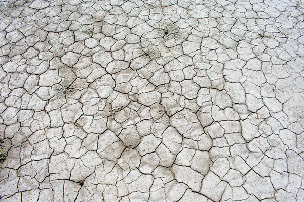 Cracked Dry Earth Arid Summer Heat Detail Texture — Stock Photo, Image
