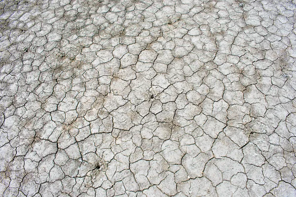 Tierra Seca Agrietada Calor Detalle Textura Áridos Del Verano — Foto de Stock