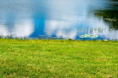 Nehri yakınında yeşil çimen