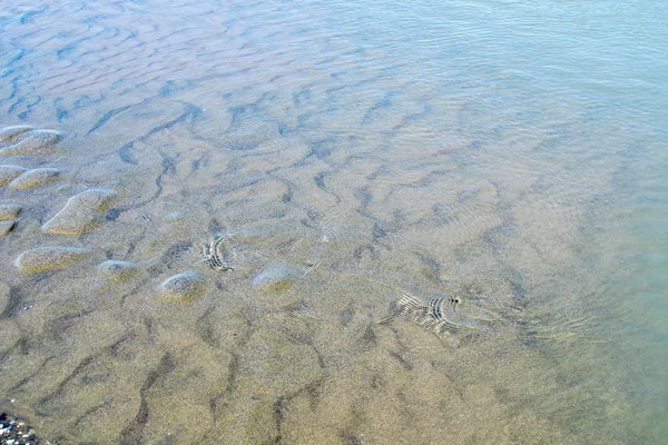 Płytkie Wody Nad Morzem Naturalne Tło — Zdjęcie stockowe