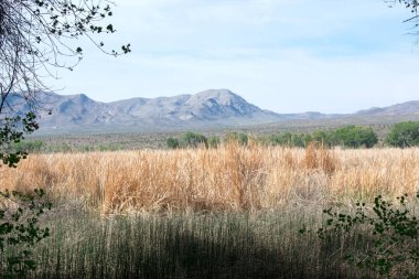 Arka planda dağlar ile ıssız alan