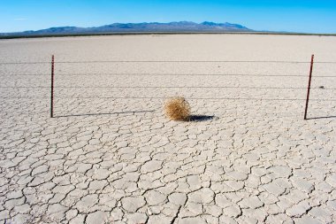 Mavi gökyüzü ile Kuru kırık çöl yeryüzünde Tumbleweed. Amerikan Batı çöl manzara.