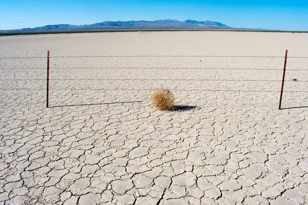 Tumbleweed Auf Trockener Rissiger Wüstenerde Mit Blauem Himmel Amerikanische Westliche — Stockfoto