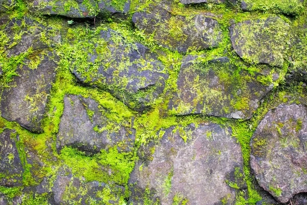 Padrão Pedra Rachado Com Musgo Verde — Fotografia de Stock