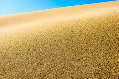 Plajdaki kum tepeciklerinin yakın çekim detayları yaz güneşi dokusu ve deseni