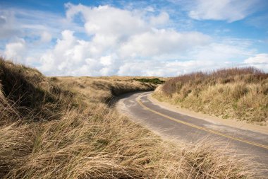 Kurutulmuş çim ile ıssız alan aracılığıyla asfalt yol