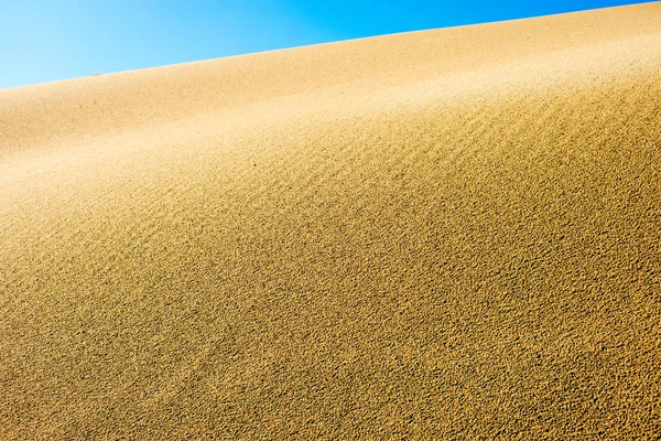 Detalhe Close Duna Areia Praia Textura Sol Verão Padrão — Fotografia de Stock