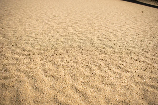 Detalle Cerca Duna Arena Playa Textura Patrón Sol Verano — Foto de Stock