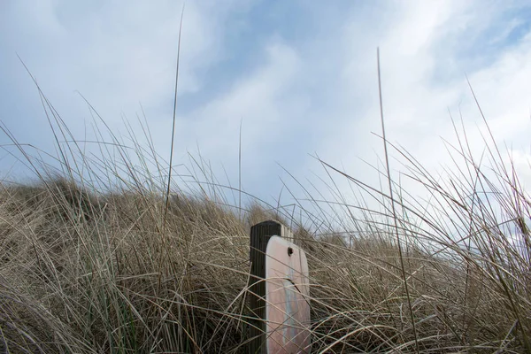 Signpost Grama Seca Fundo Natural — Fotografia de Stock