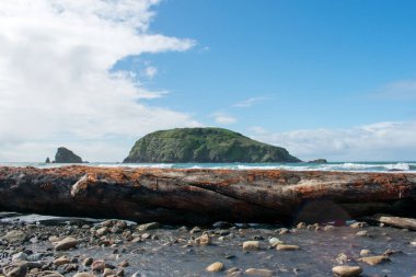 Dağ ve deniz. Kayalık Sahili ve okyanusu görünümü