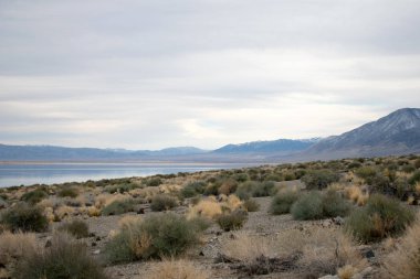 dağ manzarası ile güzel su  