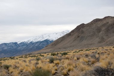 Kar ve dağlarla kaplı kış manzarası