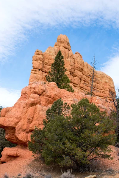 Paisaje Del Desierto Montaña Rocas Hierba — Foto de Stock