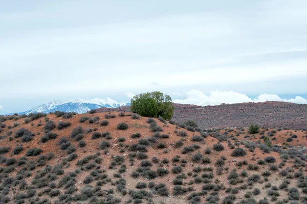 Berg Woestijnlandschap Rotsen Gras — Stockfoto