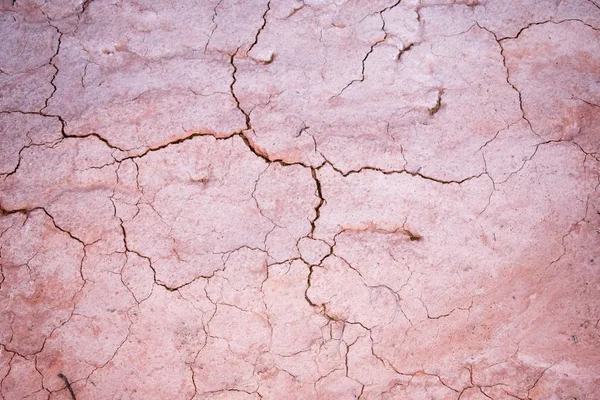 Cracked Soil Pattern Natural Background — Stock Photo, Image