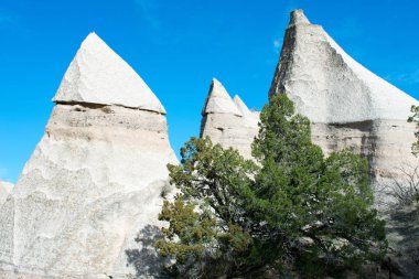 Dağ çöl peyzaj, kayalar ve çim