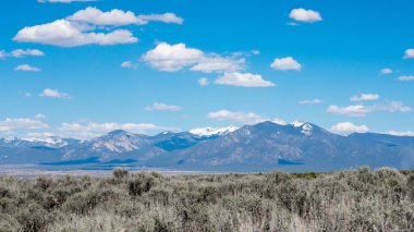arka planda dağ sırası ile yeşil çayır