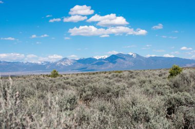 arka planda dağ sırası ile yeşil çayır