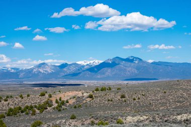 arka planda dağ sırası ile yeşil çayır