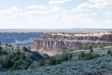 arka planda dağ sırası ile yeşil çayır