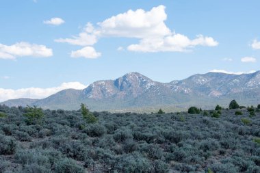 arka planda dağ sırası ile yeşil çayır
