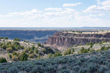 arka planda dağ sırası ile yeşil çayır